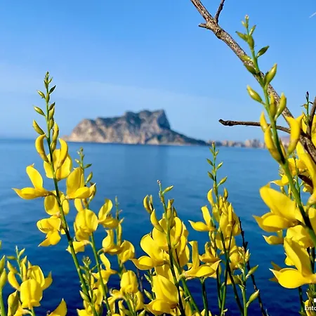 Vh Costablanca - Eva Villa